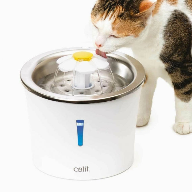 Katzen Näpfe & Wasserspender